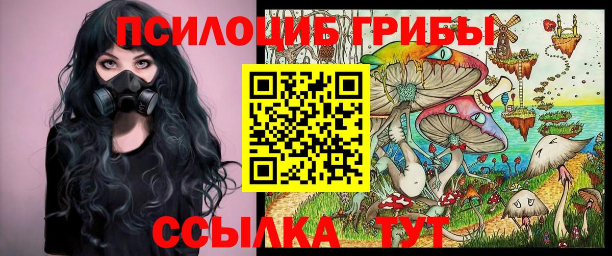 Галлюциногенные грибы Psilocybine cubensis Черкесск