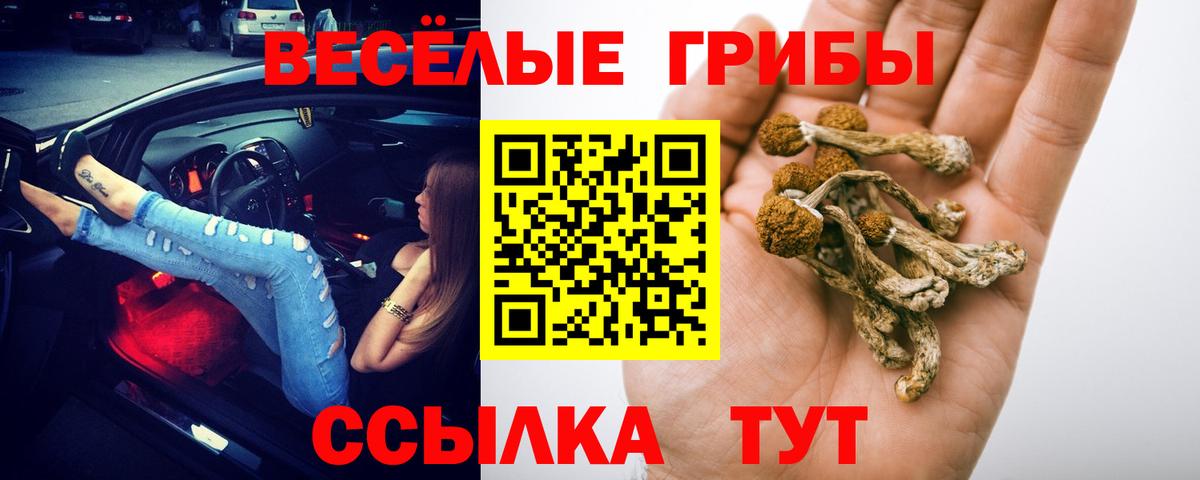 Черкесск  купить наркотик  Вход с VPN  Псилоцибиновые грибы Cubensis  Галлюциногенные грибы GOLDEN TEACHER 